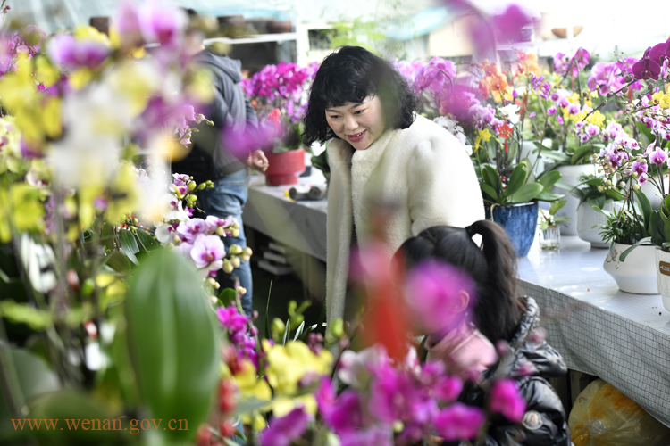 鲜花俏扮年货市场